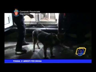 Foggia, 31 arresti per droga