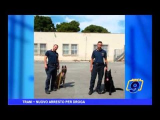 Trani | Nuovo arresto per droga