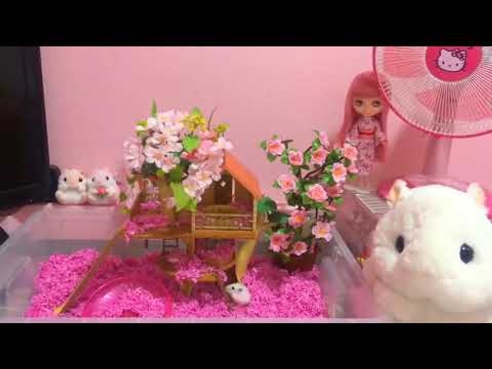 Hamsters Enjoy Their Time in Colorful Tree House