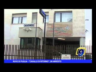 Ruvo di Puglia | "Cavallo di ritorno", un arresto