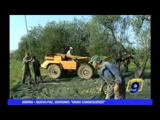 Andria | Nuova PAC, Giorgino: "gravi conseguenze"