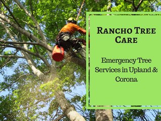 Ultimate Emergency Tree services in Upland & Corona