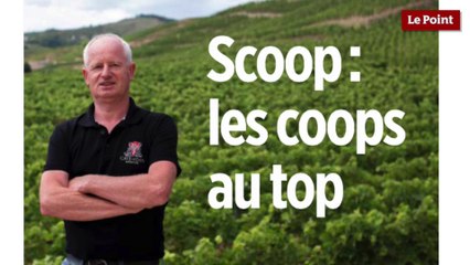 Spécial vins : les coops au top !
