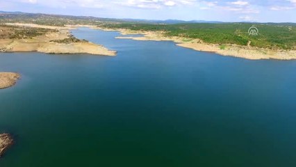 Barajdaki Midyeler Kuraklığa Yenik Düşüyor