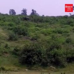 Selfie isteği ölümle bitti