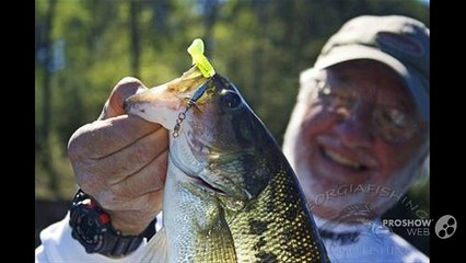 Fishing lures online