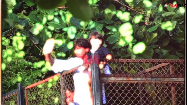Shahrukh Khan AbRam Khan Spotted playing in Mannat Compound; Watch | FilmiBeat