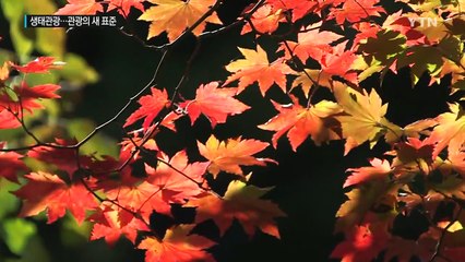 생태관광으로 환경 파괴 관광의 틀 바꾼다 / YTN (Yes! Top News)