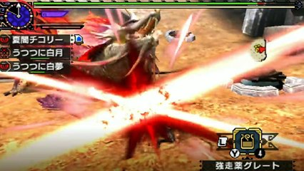 【MHXX実況】【ソロ】集会所G★4 狩人達の究道！！ エリアル双剣【モンハンダブルクロス】