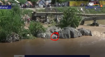 குடிபோதையில் ஆற்று வெள்ளத்தில் சிக்கிய குடிமகன்-வீடியோ