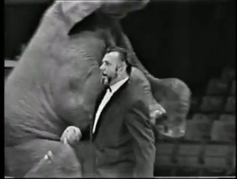 Piste aux étoiles Jean Richard Eléphants