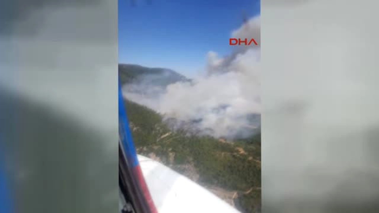 Muğla'nın Menteşe İlçesinde Orman Yangını