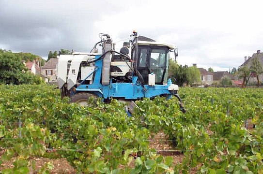 Vendanges mécaniques