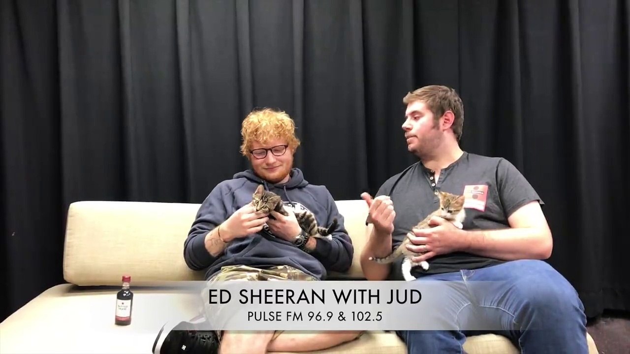 Raleigh Cat Interview, September 2, 2017.