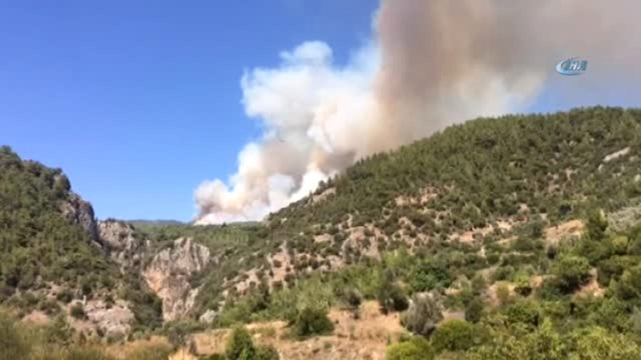 Muğla'da Orman Yangını
