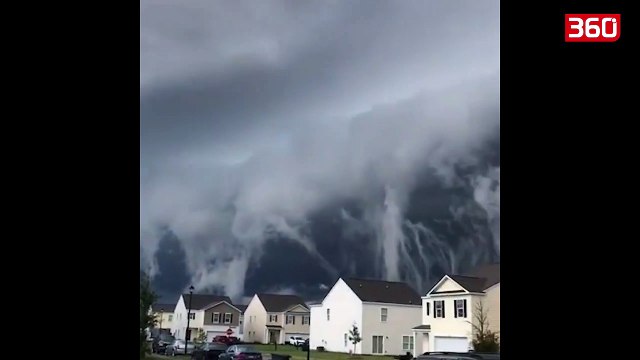 Cmenduri, Rete zbresin ne qytet dhe e pushtojne ate si ne filmat horror (360video)