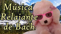 Bach Prelude - Preludio de Bach - Musica relajante