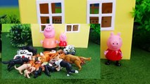 Maison maison fr dans Nouveau porc Peppa 60 vit une très grande vidéos Peppa