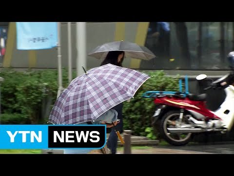 [날씨] 전국 가을비...주말부터 가을 추위 / YTN (Yes! Top News)
