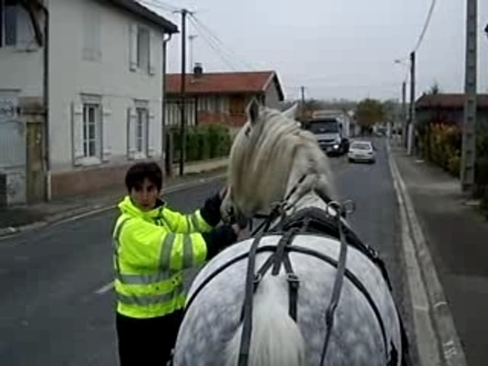 Gringo et le camion