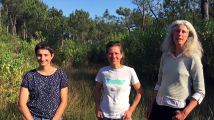 Protégeons la biodiversité en Ria d'Etel ! Chantier nature du 30 septembre au 1er octobre 2017