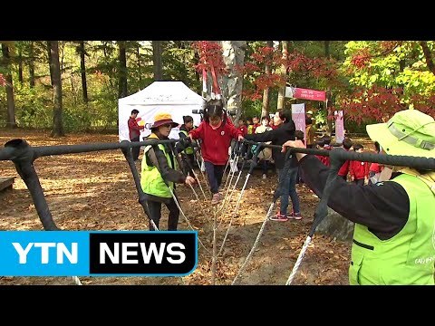 건강한 자연에서 배운다...숲 교육의 효과 / YTN (Yes! Top News)