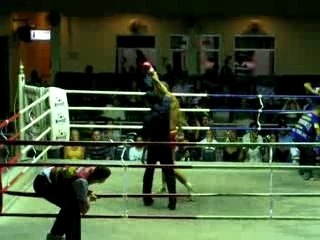 bustalex yougo round 2