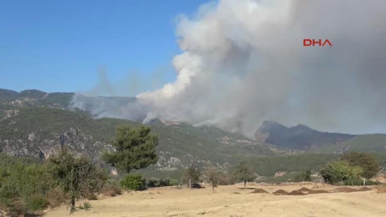 Muğla'nın Menteşe İlçesinde Orman Yangını 7