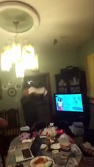 So a Bat flew into our house last night....