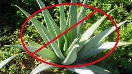 5 Millonarios Que No Creerás Lo Que Hacen