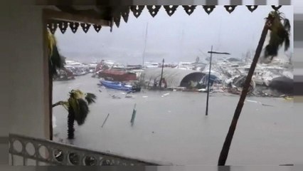 Irma: devastate le Antille francesi