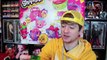 Toy Hunting Time Shopkins Season 4 McDonalds TRU & More | PSToyReviews