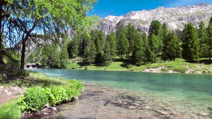 Instrumental Music - piano, light, relax - N°005 (4K)