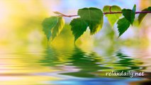 Calm Music - Slow, Peaceful, Background Music - relaxdaily N°042