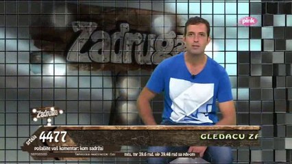 ZADRUGA USELJENJE - Profil 2 - Marko Kocic DNK