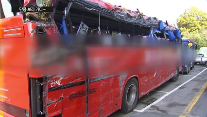 단풍 보러 가던 길에...고속버스 사고로 4명 사망 / YTN (Yes! Top News)