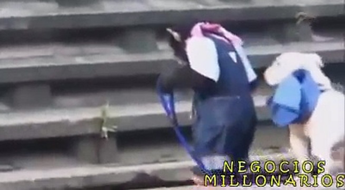 PRIMER PASO