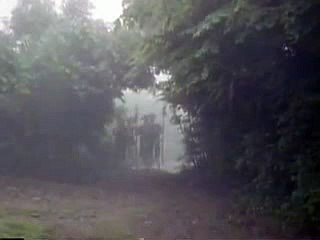 카지노패턴보는법＼＼【 ＢＳＣ８２。ＣＯＭ 】＼＼카지노돈따는법