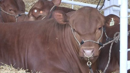 Expo Prado 2017 inicia con énfasis en el impulso del turismo sostenible para el desarrollo