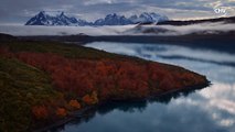 el ecosistema del parque torres del paine