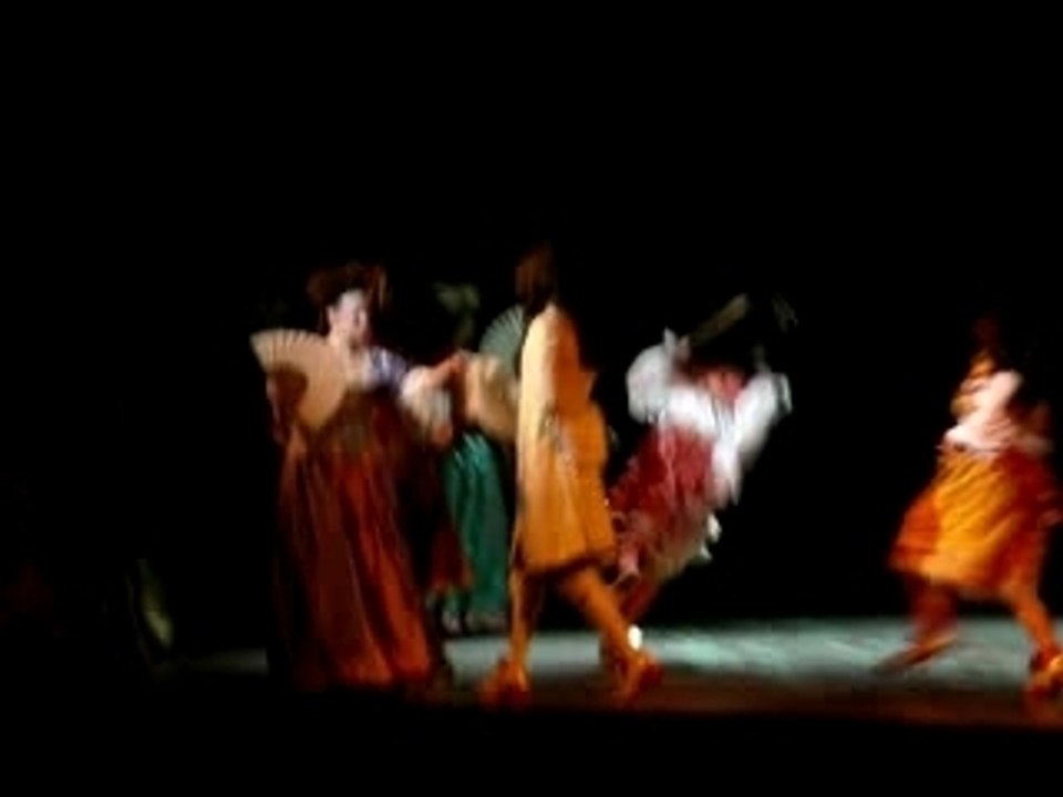 cA marche - le roi soleil - lille 01.03.2007