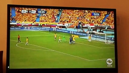 El perro del partido entre Colombia vs Brazil - Eliminatorias al mundial de Rusia - M.D.A REKORDS