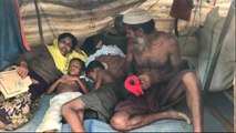 عدد الفارين الروهينغا لبنغلاديش إلى 146 ألفا