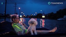 Cara hewan menyelamatkan diri dari banjir badai Harvey - TomoNews