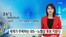 세계가 주목하는 연구기관 'IBS'...노벨상 후보 키운다 / YTN (Yes! Top News)