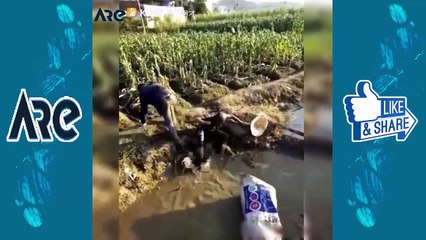 oh-my-god!-the-god-also-have-to-simle-Funny-Clips 2