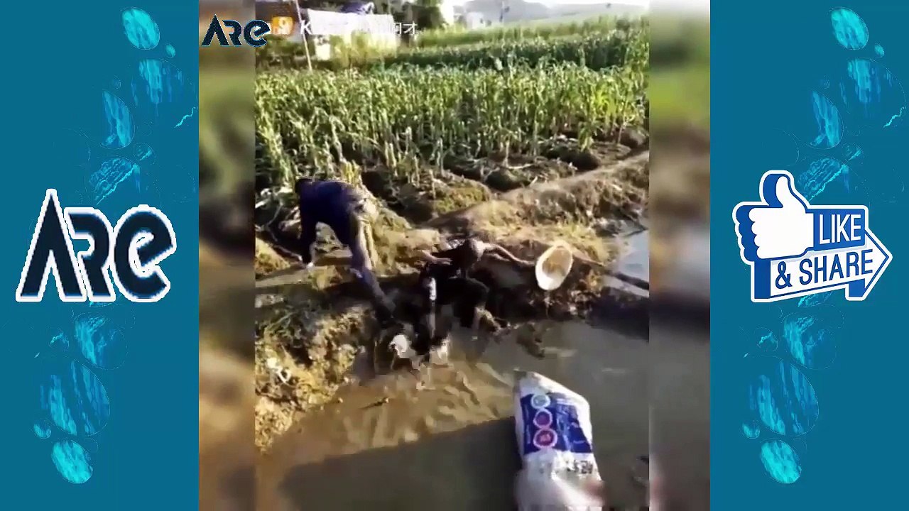 oh-my-god!-the-god-also-have-to-simle-Funny-Clips 2