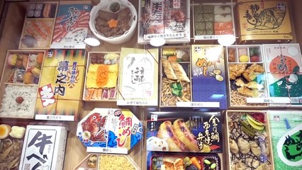 東海道新幹線の通過を見に行きました【がっちゃんの電車で行こう！シリーズ】-IRbVgior-xM