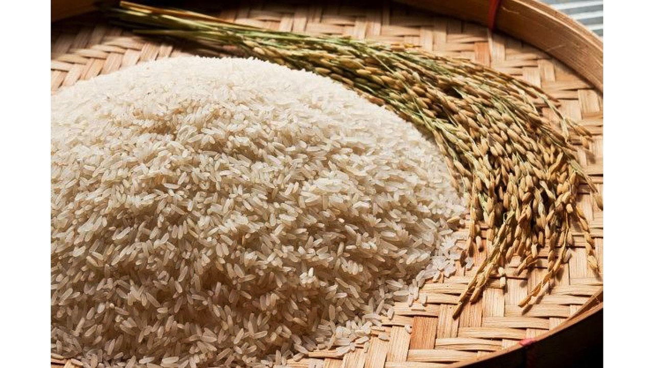 Agricultural Products in the Philippines - Seeds