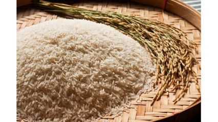 Agricultural Products in the Philippines - Seeds